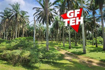 25.67  Main Road | Agricultural Land | Selama | Perak Rm4psf