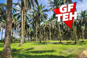 25.67  Main Road | Agricultural Land | Selama | Perak Rm4psf