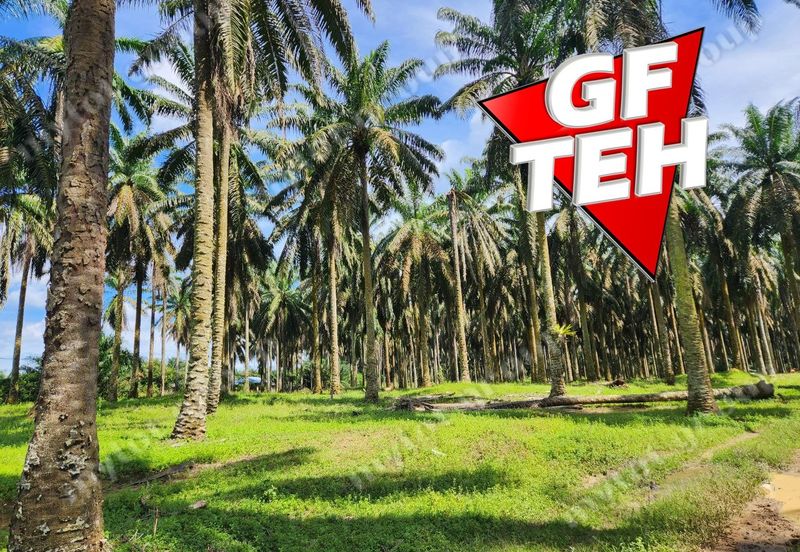 25.67  Main Road | Agricultural Land | Selama | Perak Rm4psf