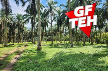 25.67  Main Road | Agricultural Land | Selama | Perak Rm4psf