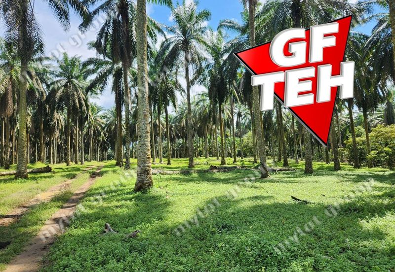 25.67  Main Road | Agricultural Land | Selama | Perak Rm4psf