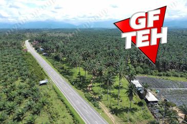 25.67  Main Road | Agricultural Land | Selama | Perak Rm4psf