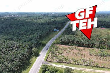 25.67  Main Road | Agricultural Land | Selama | Perak Rm4psf
