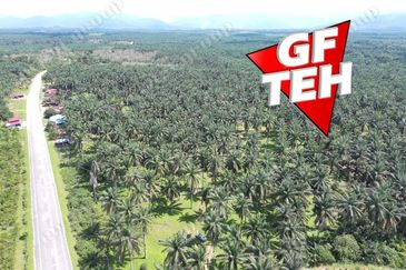 25.67  Main Road | Agricultural Land | Selama | Perak Rm4psf