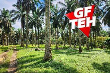 25.67  Main Road | Agricultural Land | Selama | Perak Rm4psf