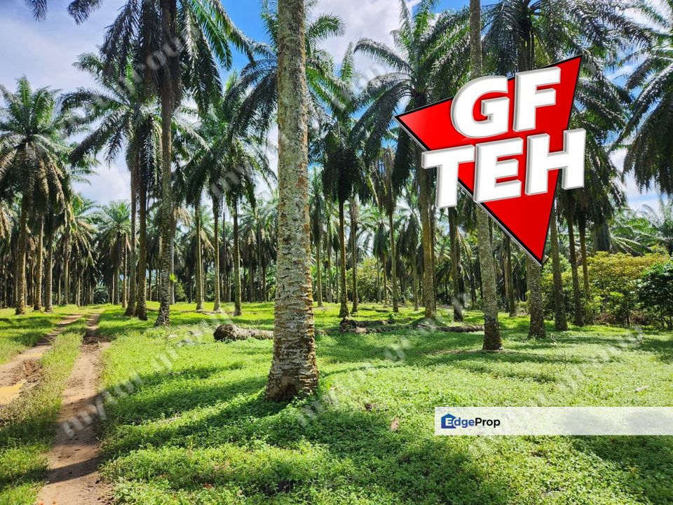 25.67  Main Road | Agricultural Land | Selama | Perak Rm4psf, Perak, Selama