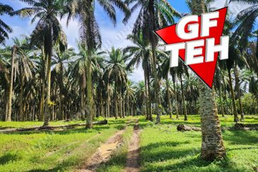 25.67  Main Road | Agricultural Land | Selama | Perak Rm4psf