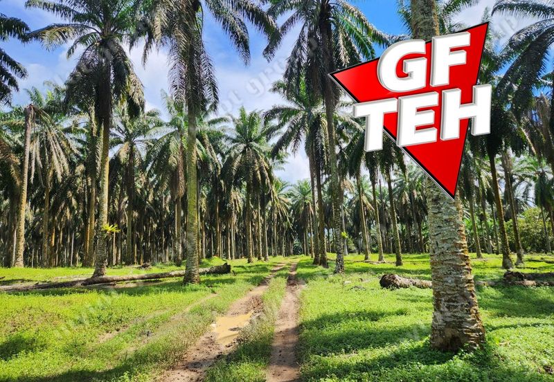 25.67  Main Road | Agricultural Land | Selama | Perak Rm4psf