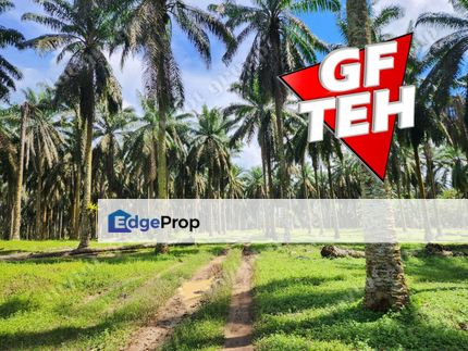 25.67  Main Road | Agricultural Land | Selama | Perak Rm4psf, Perak, Selama