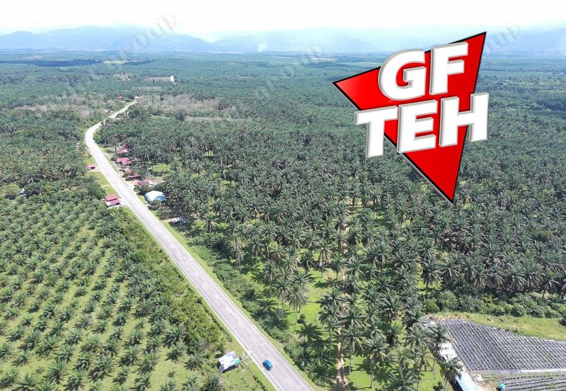 25.67  Main Road | Agricultural Land | Selama | Perak Rm4psf