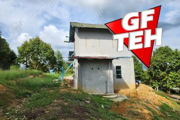 5 acres Durian Plantation | Musang King & Black Thorn | 猫山王 & 黑刺 | Kuala Kangsar Rm11.94psf