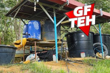 5 acres Durian Plantation | Musang King & Black Thorn | 猫山王 & 黑刺 | Kuala Kangsar Rm11.94psf