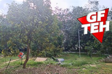 5 acres Durian Plantation | Musang King & Black Thorn | 猫山王 & 黑刺 | Kuala Kangsar Rm11.94psf