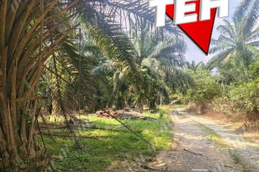 Kampung Tasek Junjong