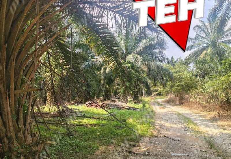 Kampung Tasek Junjong