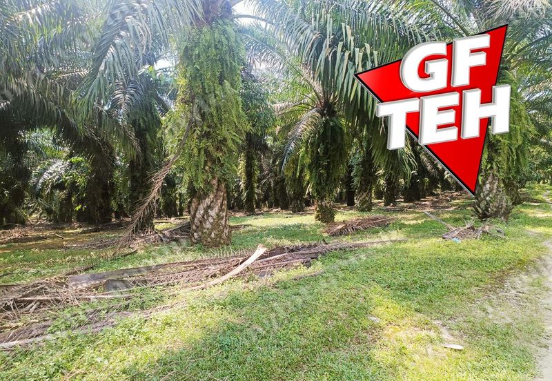 Kampung Tasek Junjong