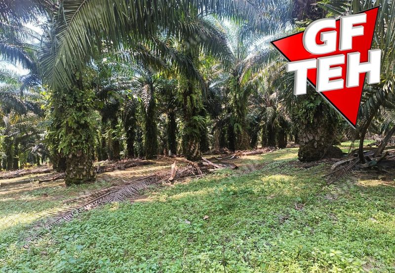 Kampung Tasek Junjong