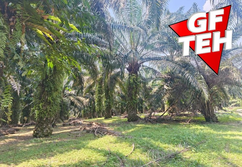 Kampung Tasek Junjong