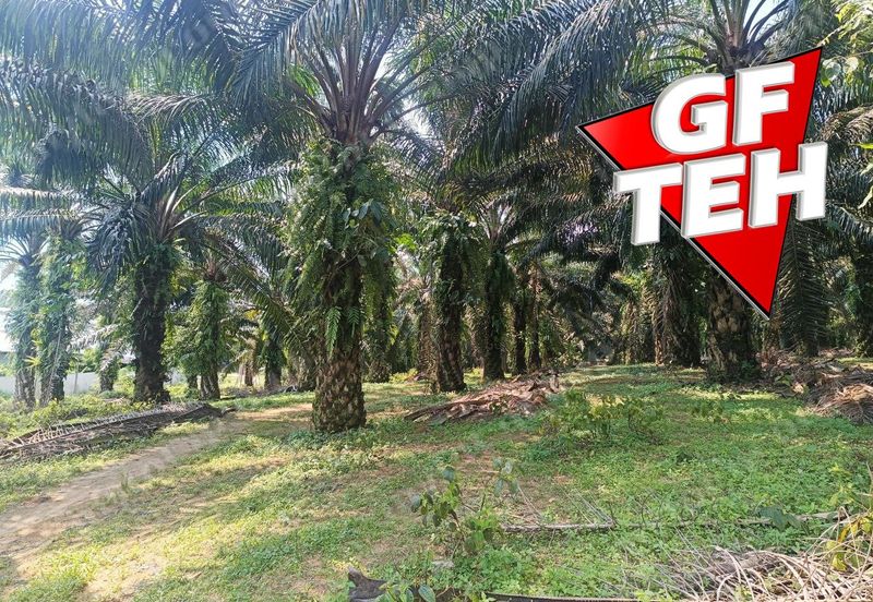 Kampung Tasek Junjong