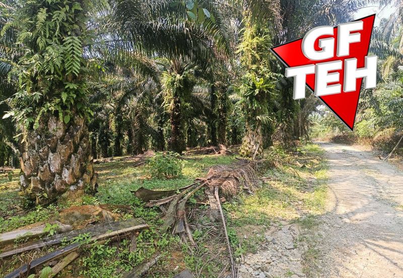 Kampung Tasek Junjong