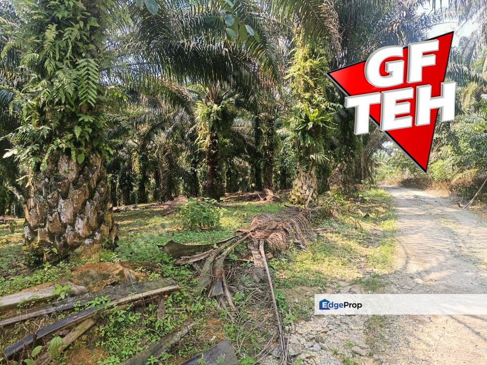 16.7 acres | Agricultural land | Tasek | Simpang Ampat | Junjong | Penang J, Penang, Simpang Ampat