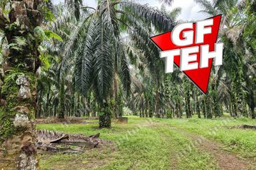 8.457 acres Agricultural Land Selama Perak Rm3.68psf