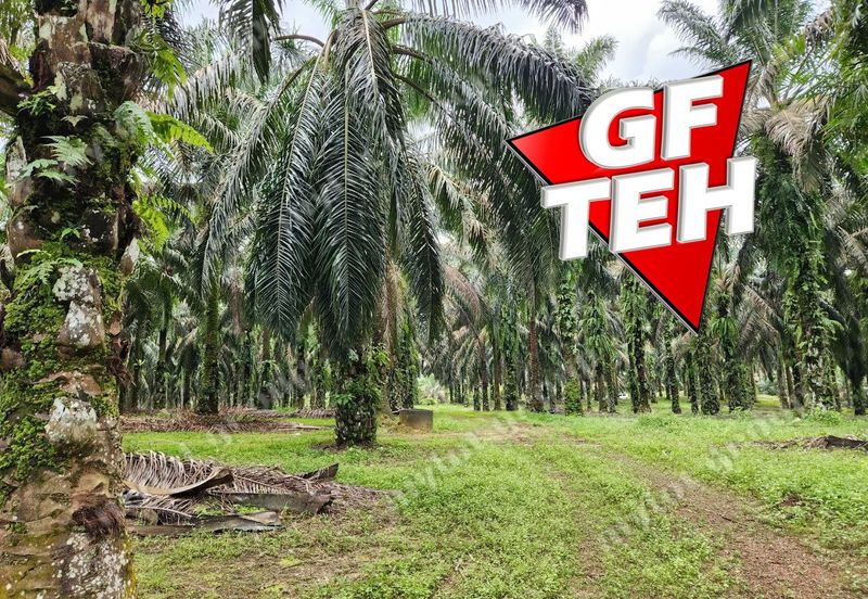 8.457 acres Agricultural Land Selama Perak Rm3.68psf