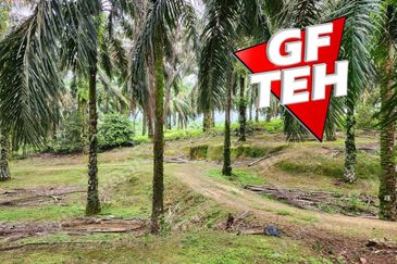 8.457 acres Agricultural Land Selama Perak Rm3.68psf