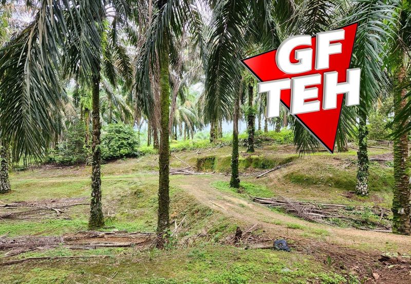 8.457 acres Agricultural Land Selama Perak Rm3.68psf