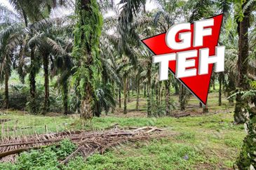8.457 acres Agricultural Land Selama Perak Rm3.68psf