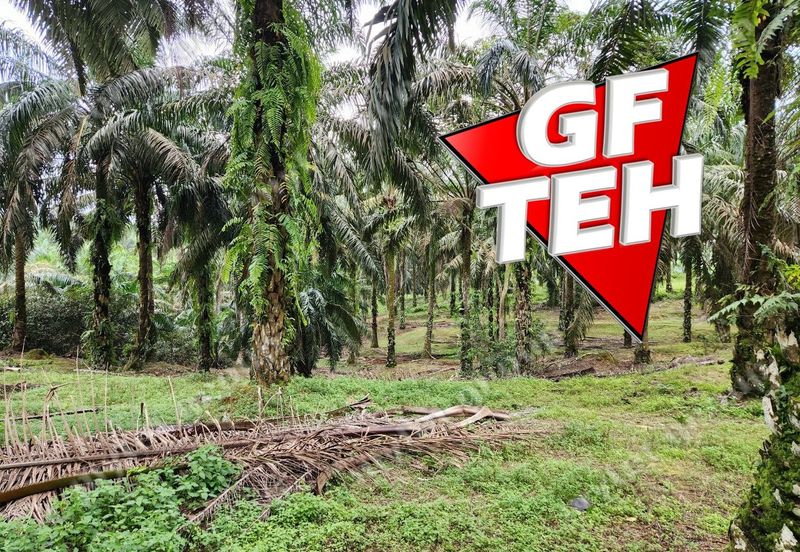 8.457 acres Agricultural Land Selama Perak Rm3.68psf