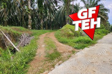 8.457 acres Agricultural Land Selama Perak Rm3.68psf