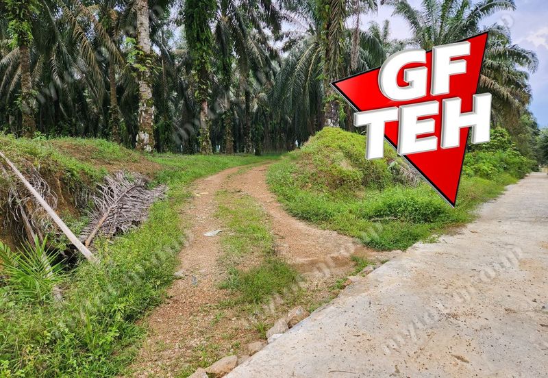 8.457 acres Agricultural Land Selama Perak Rm3.68psf