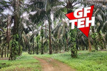 8.457 acres Agricultural Land Selama Perak Rm3.68psf