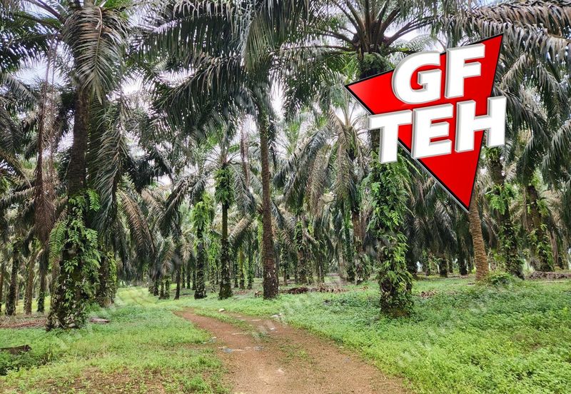 8.457 acres Agricultural Land Selama Perak Rm3.68psf