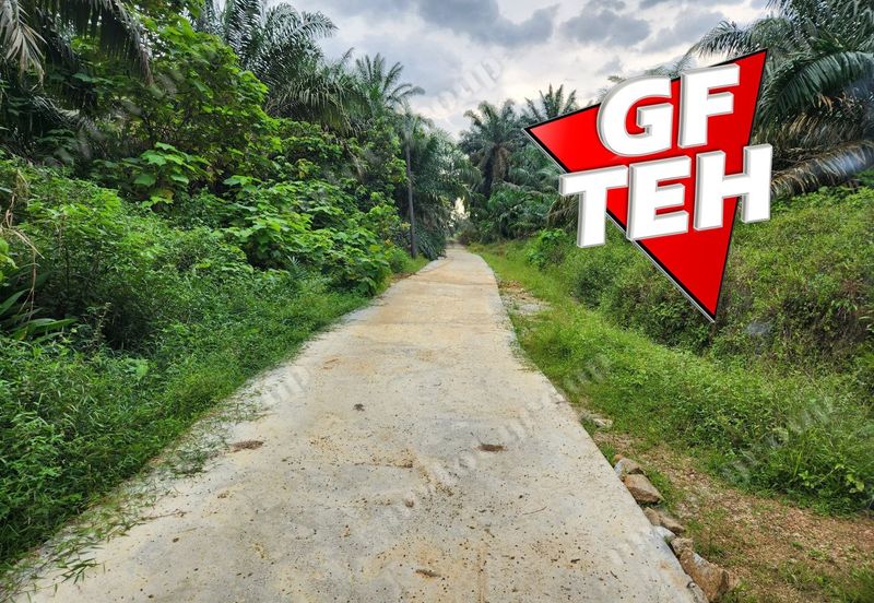 8.457 acres Agricultural Land Selama Perak Rm3.68psf