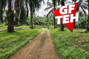 8.457 acres Agricultural Land Selama Perak Rm3.68psf