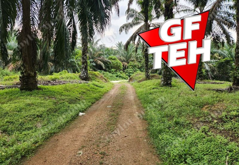 8.457 acres Agricultural Land Selama Perak Rm3.68psf