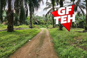 8.457 acres Agricultural Land Selama Perak Rm3.68psf