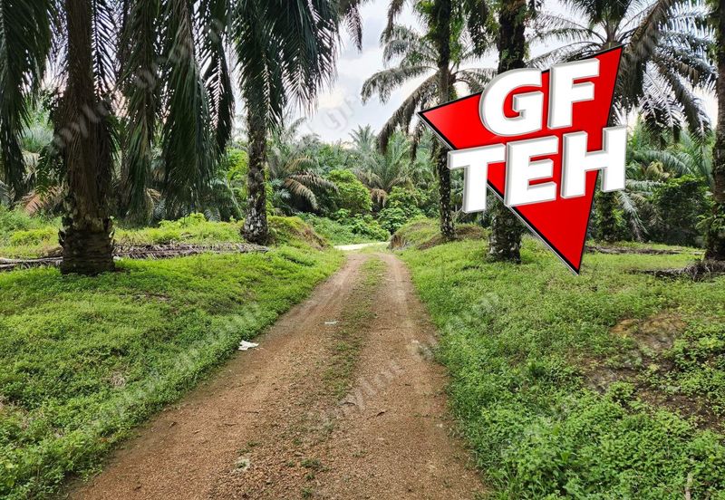 8.457 acres Agricultural Land Selama Perak Rm3.68psf