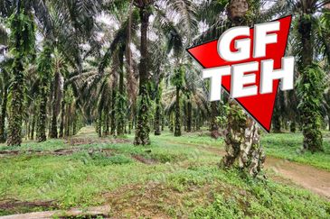 8.457 acres Agricultural Land Selama Perak Rm3.68psf