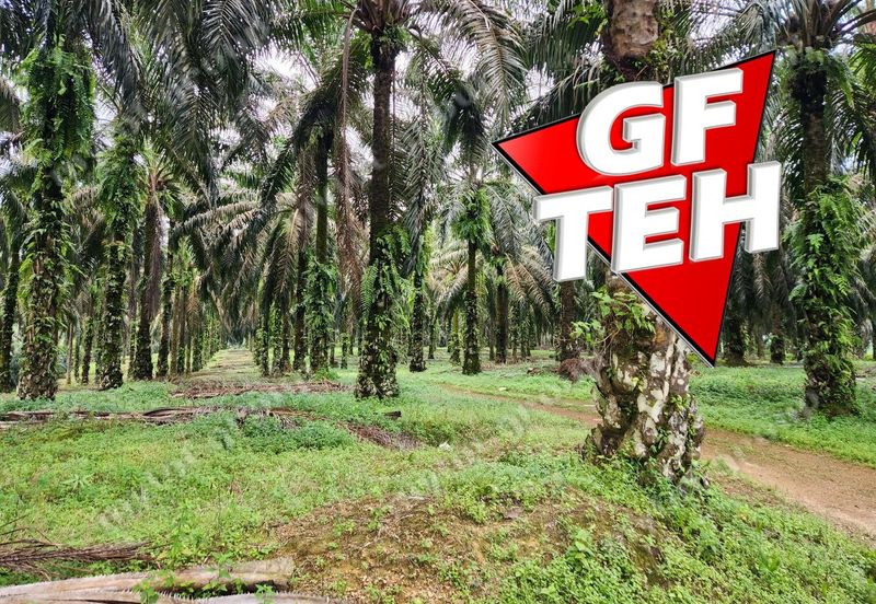 8.457 acres Agricultural Land Selama Perak Rm3.68psf