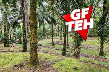 8.457 acres Agricultural Land Selama Perak Rm3.68psf