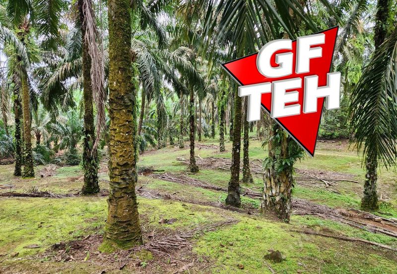 8.457 acres Agricultural Land Selama Perak Rm3.68psf