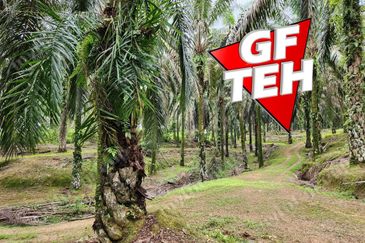 8.457 acres Agricultural Land Selama Perak Rm3.68psf