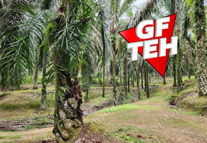 8.457 acres Agricultural Land Selama Perak Rm3.68psf