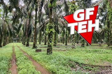 8.457 acres Agricultural Land Selama Perak Rm3.68psf