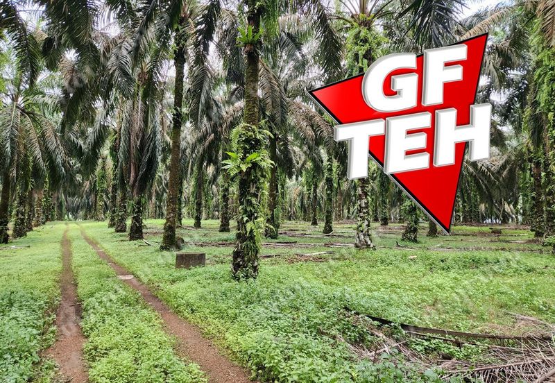 8.457 acres Agricultural Land Selama Perak Rm3.68psf