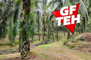 8.457 acres Agricultural Land Selama Perak Rm3.68psf