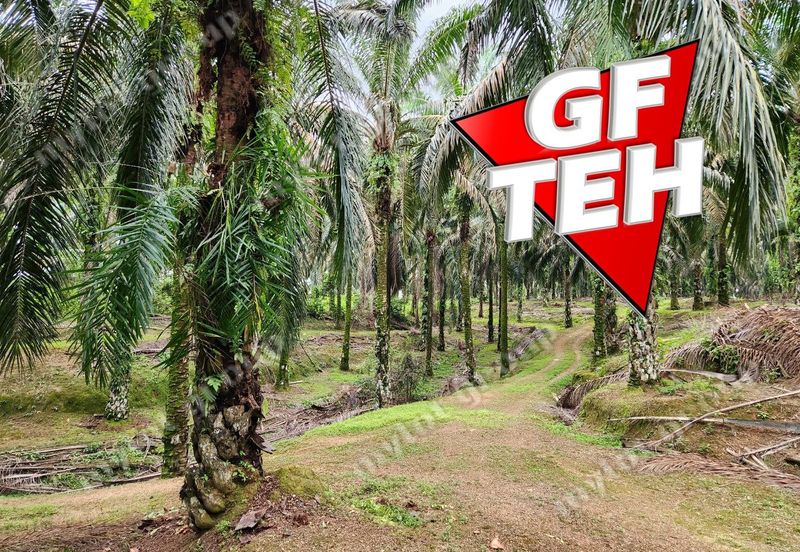 8.457 acres Agricultural Land Selama Perak Rm3.68psf